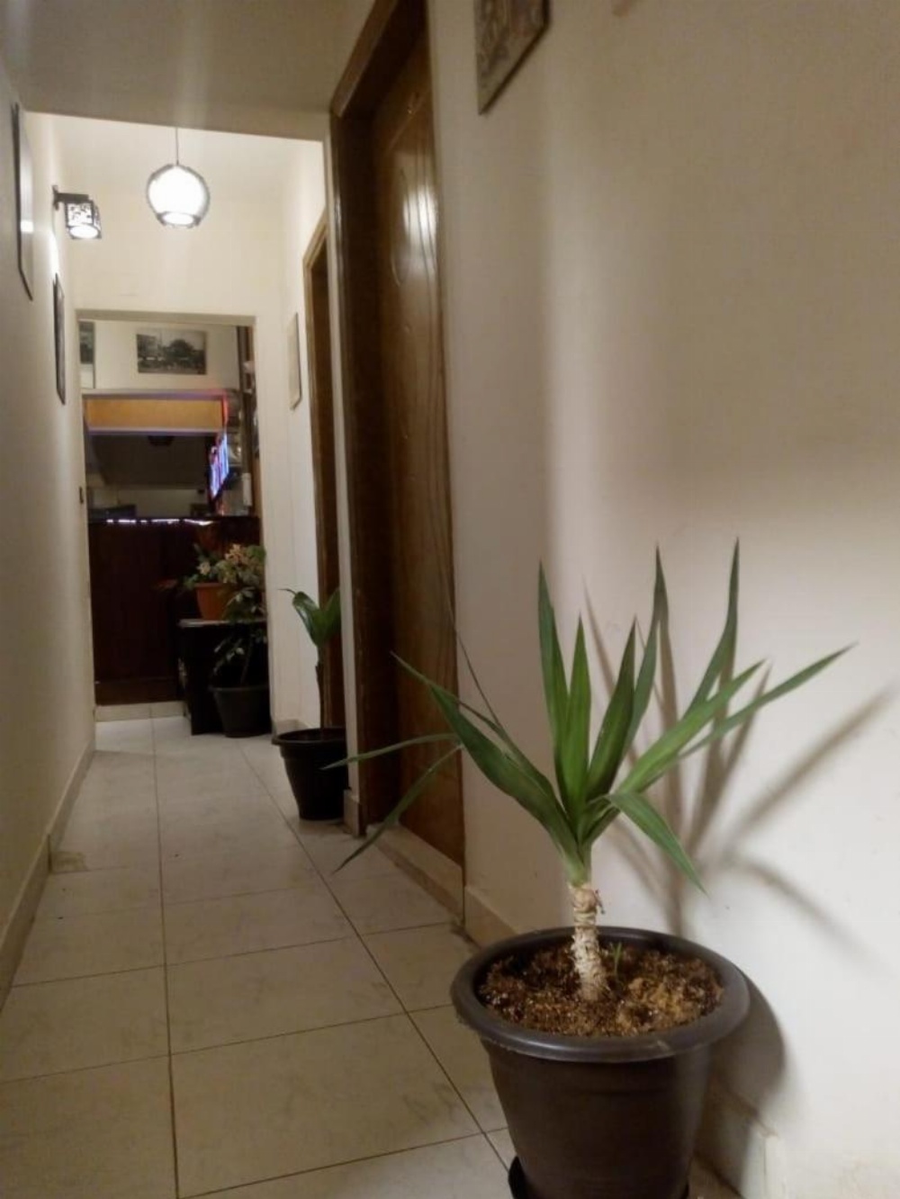 Cairo Heart Inn Image 17